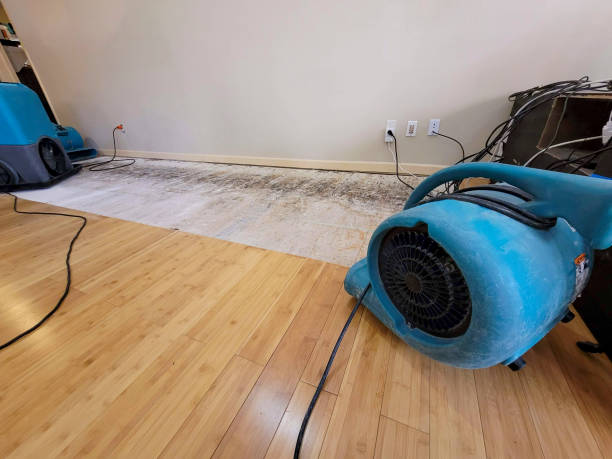 Professional Water Damage Repair technician working in Dyersburg, TN